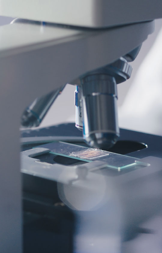 好被芯 选1277星际电子-1277星际电子家纺官网